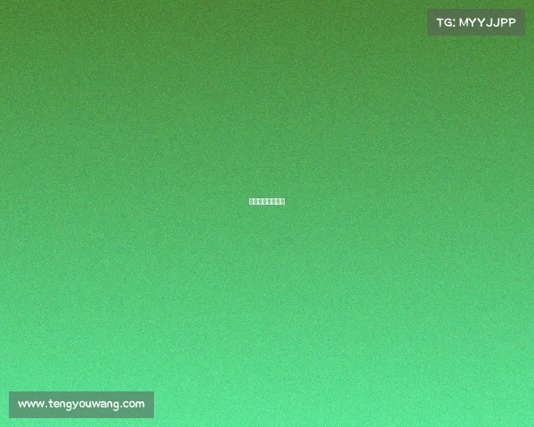 国外搏击教学视频