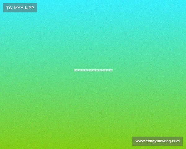 白鲨电子竞技俱乐部领队、白鲨电子竞技俱乐部青训报名